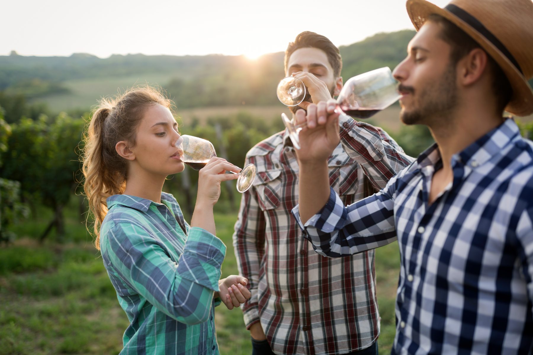 Friends tasting wine in a Sonoma County vineyard at golden hour